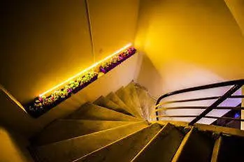 Cicek Palas Otel İzmir